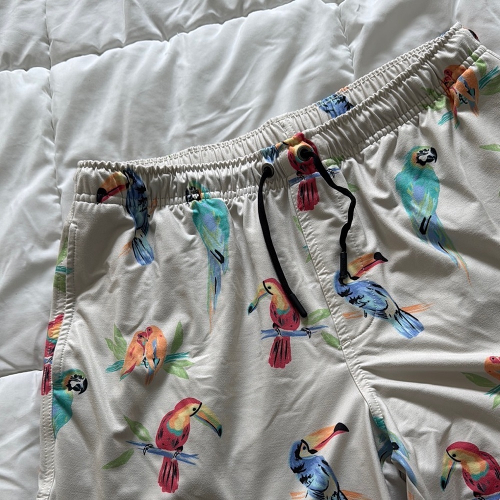 Tropical Parrot Print Women's Shorts - Picture 3 of 7